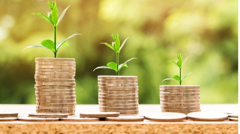 3 stacks of coins with a small green plant on top